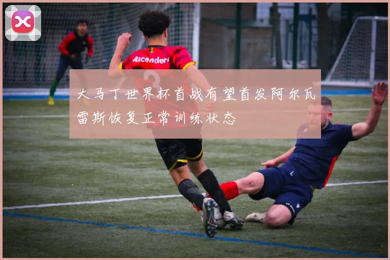 大马丁世界杯首战有望首发阿尔瓦雷斯恢复正常训练状态