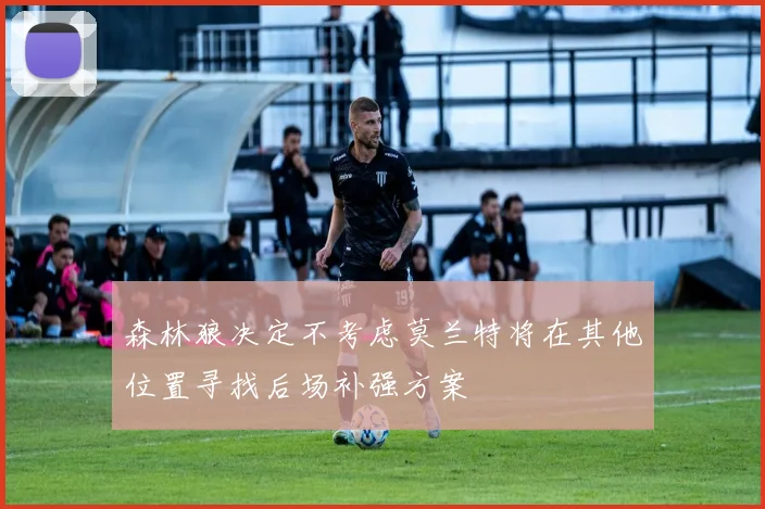 森林狼决定不考虑莫兰特将在其他位置寻找后场补强方案