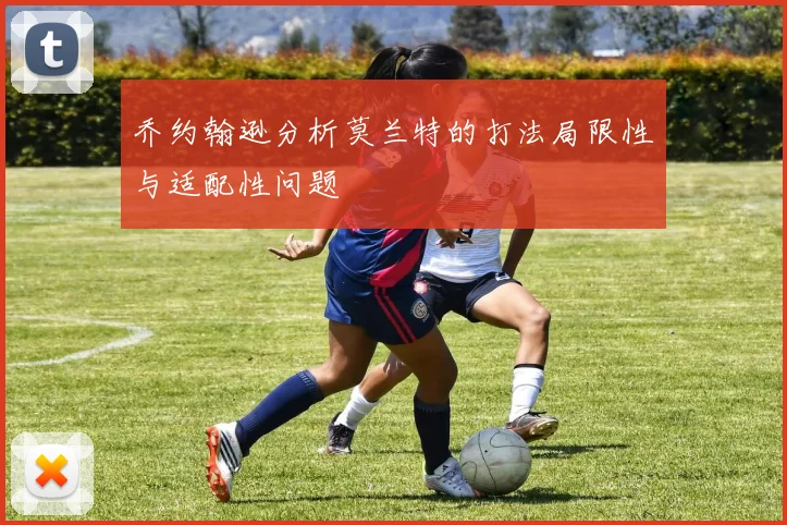 乔约翰逊分析莫兰特的打法局限性与适配性问题