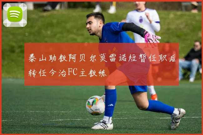 泰山助教阿贝尔莫雷诺短暂任职后转任今治FC主教练